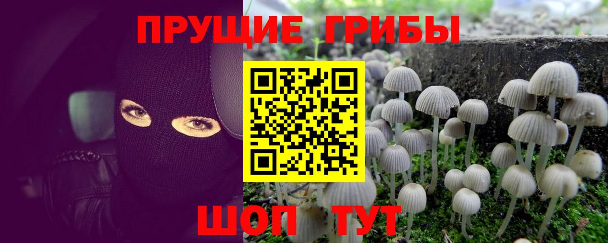 Галлюциногенные грибы Cubensis  Вход с VPN  Ишим 